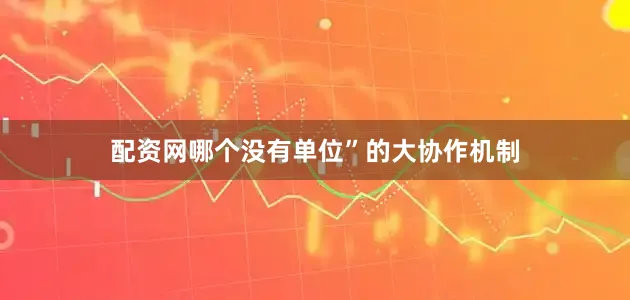 配资网哪个没有单位”的大协作机制